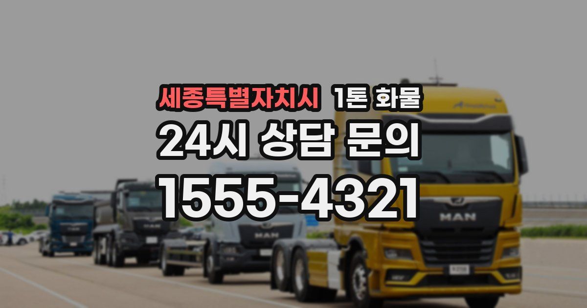 세종특별자치시 1톤 화물