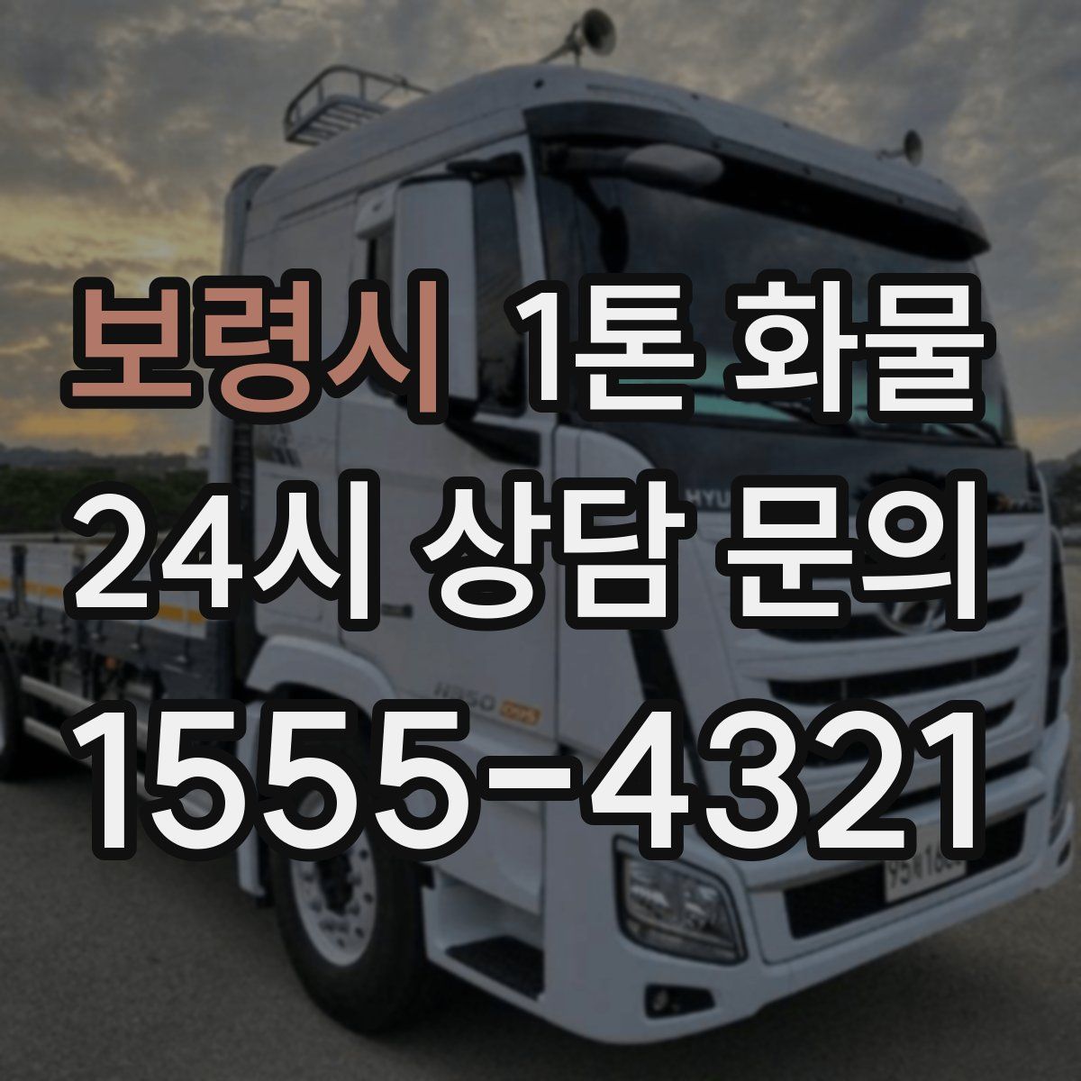 보령시 1톤 화물