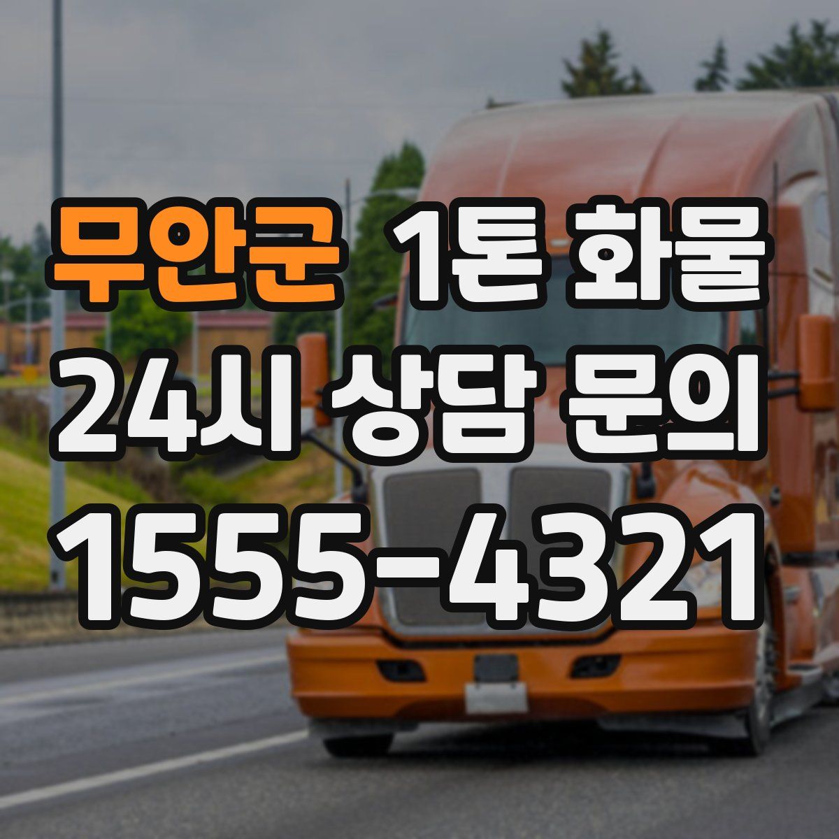 무안군 1톤 화물