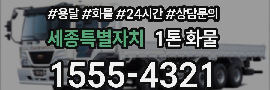 세종특별자치 1톤 화물