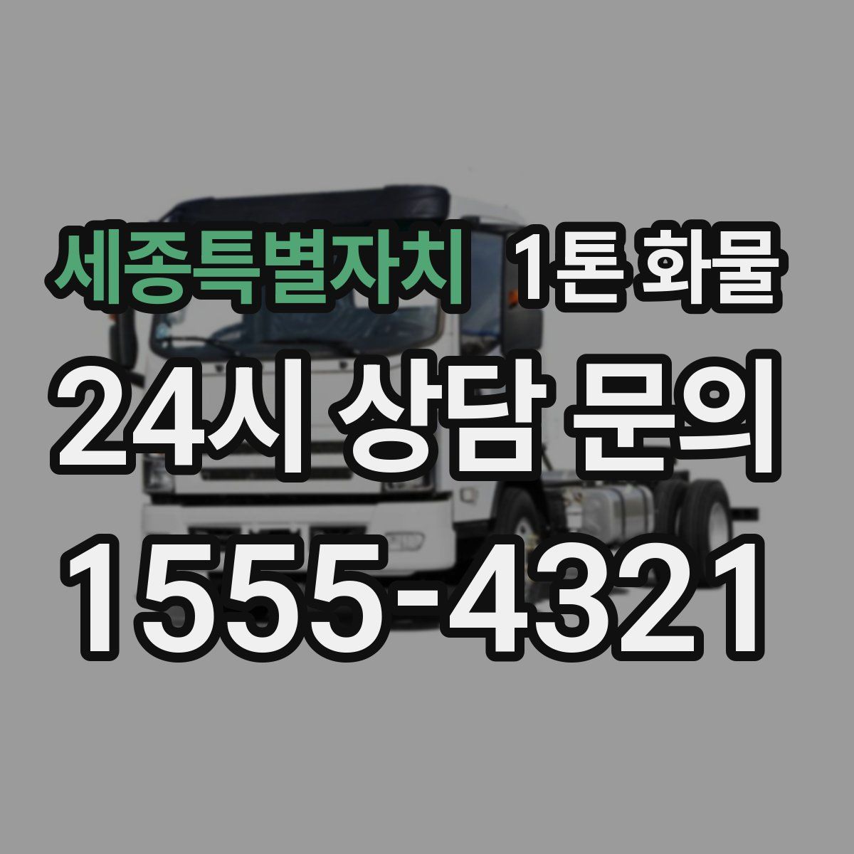 세종특별자치 1톤 화물