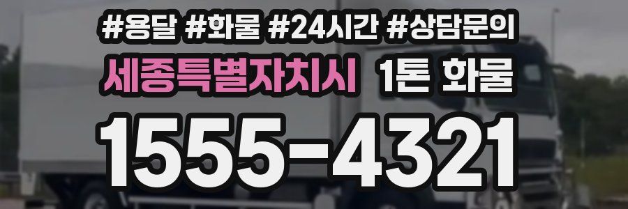 세종특별자치시 1톤 화물