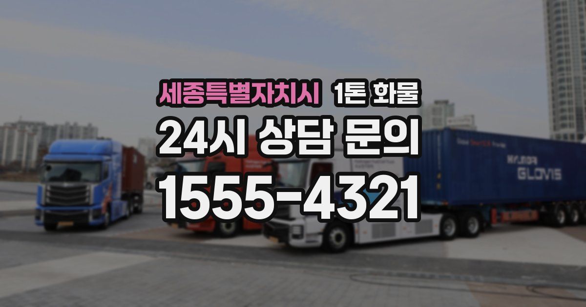 세종특별자치시 1톤 화물