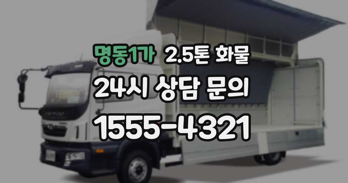 명동1가 2.5톤 화물