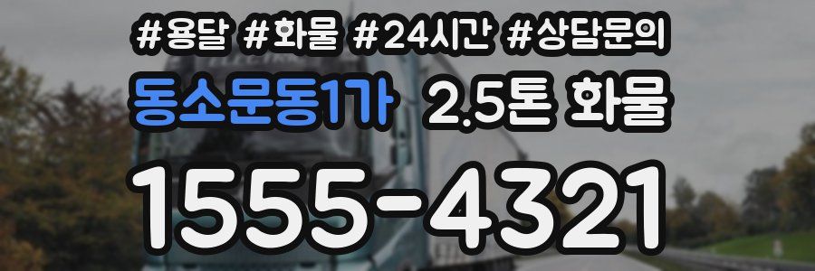 동소문동1가 2.5톤 화물