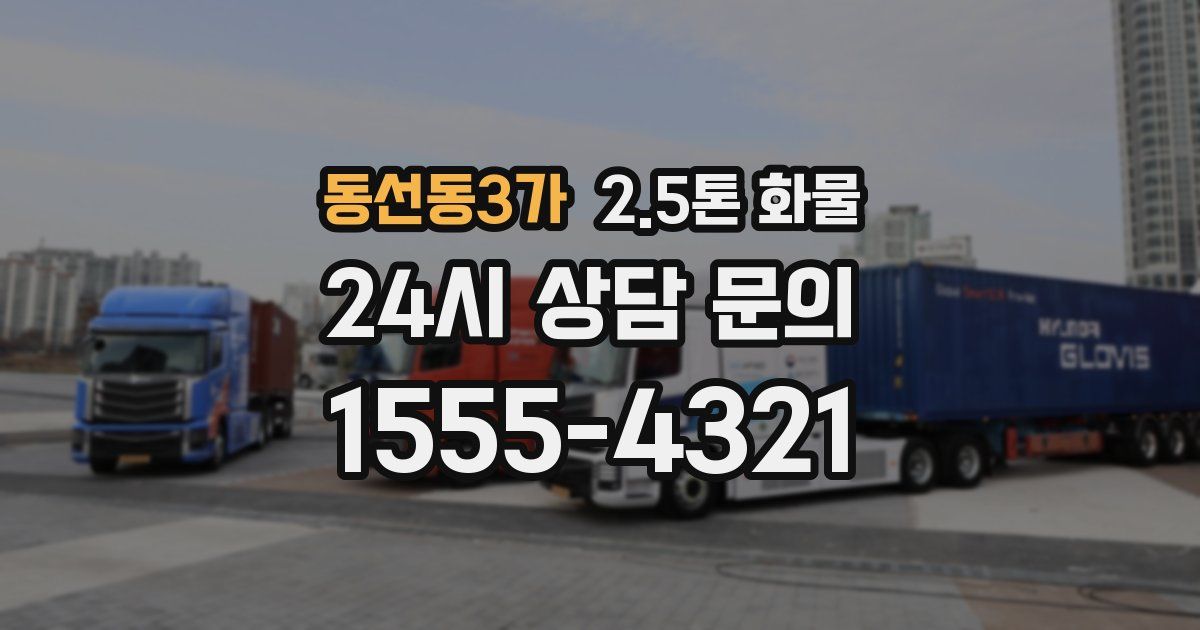 동선동3가 2.5톤 화물