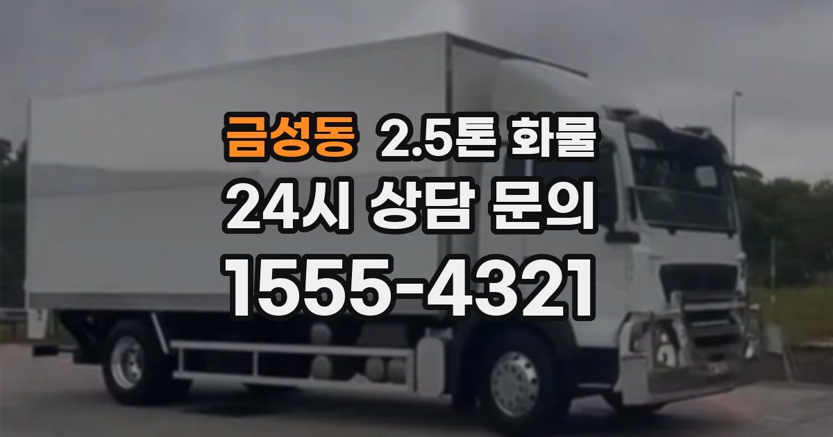 금성동 2.5톤 화물