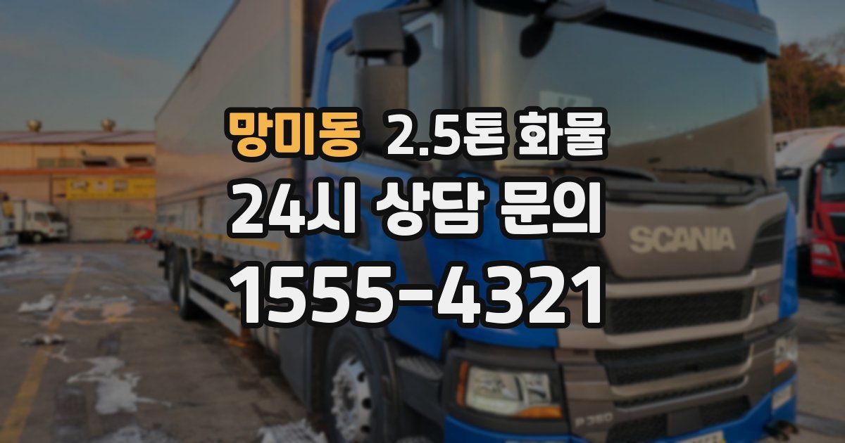 망미동 2.5톤 화물