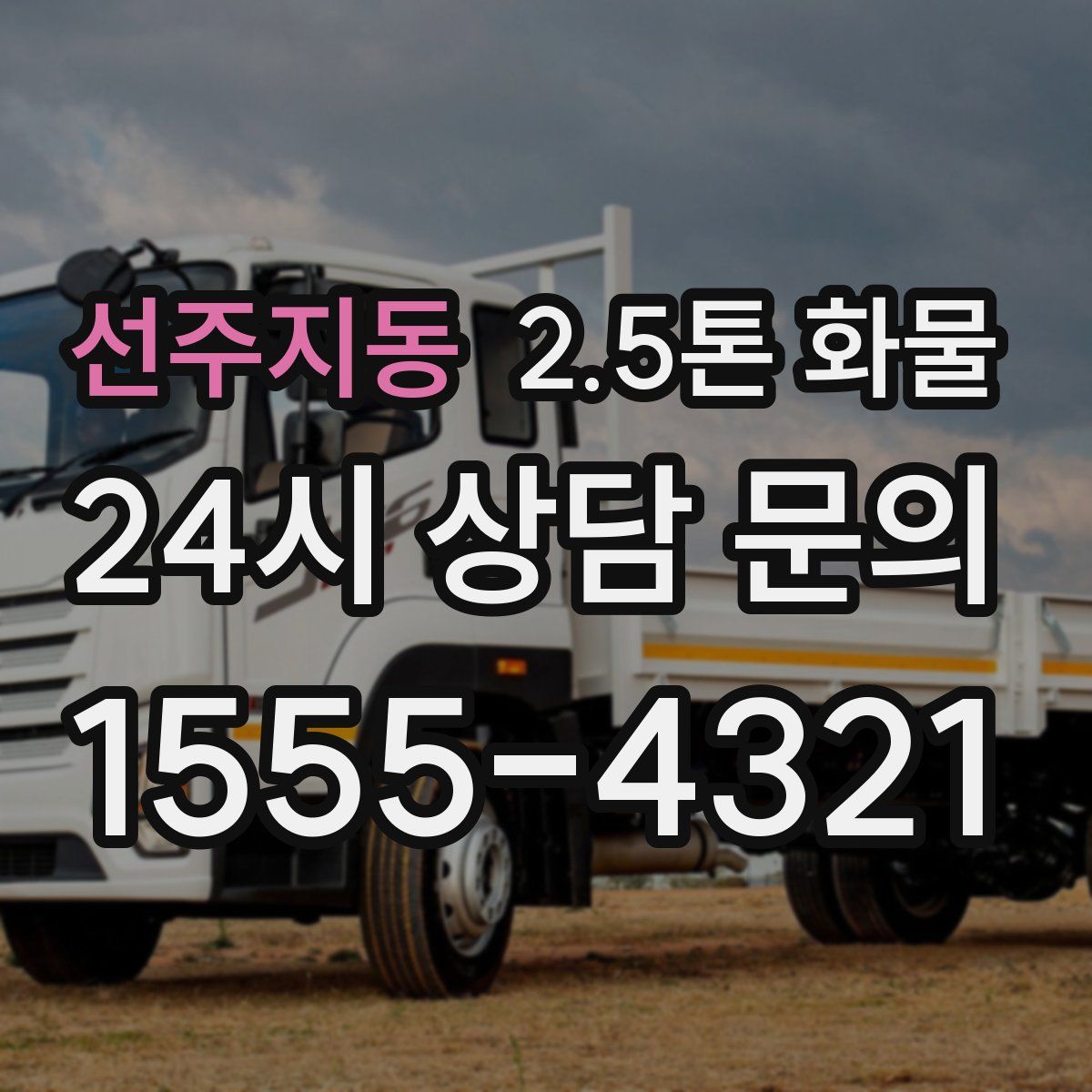 선주지동 2.5톤 화물