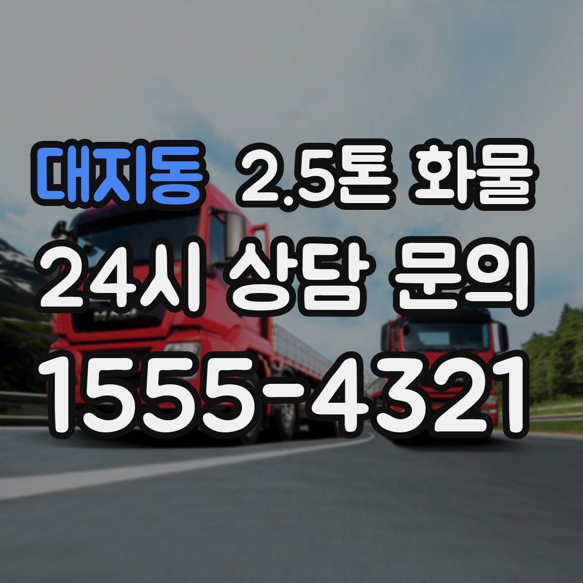 대지동 2.5톤 화물