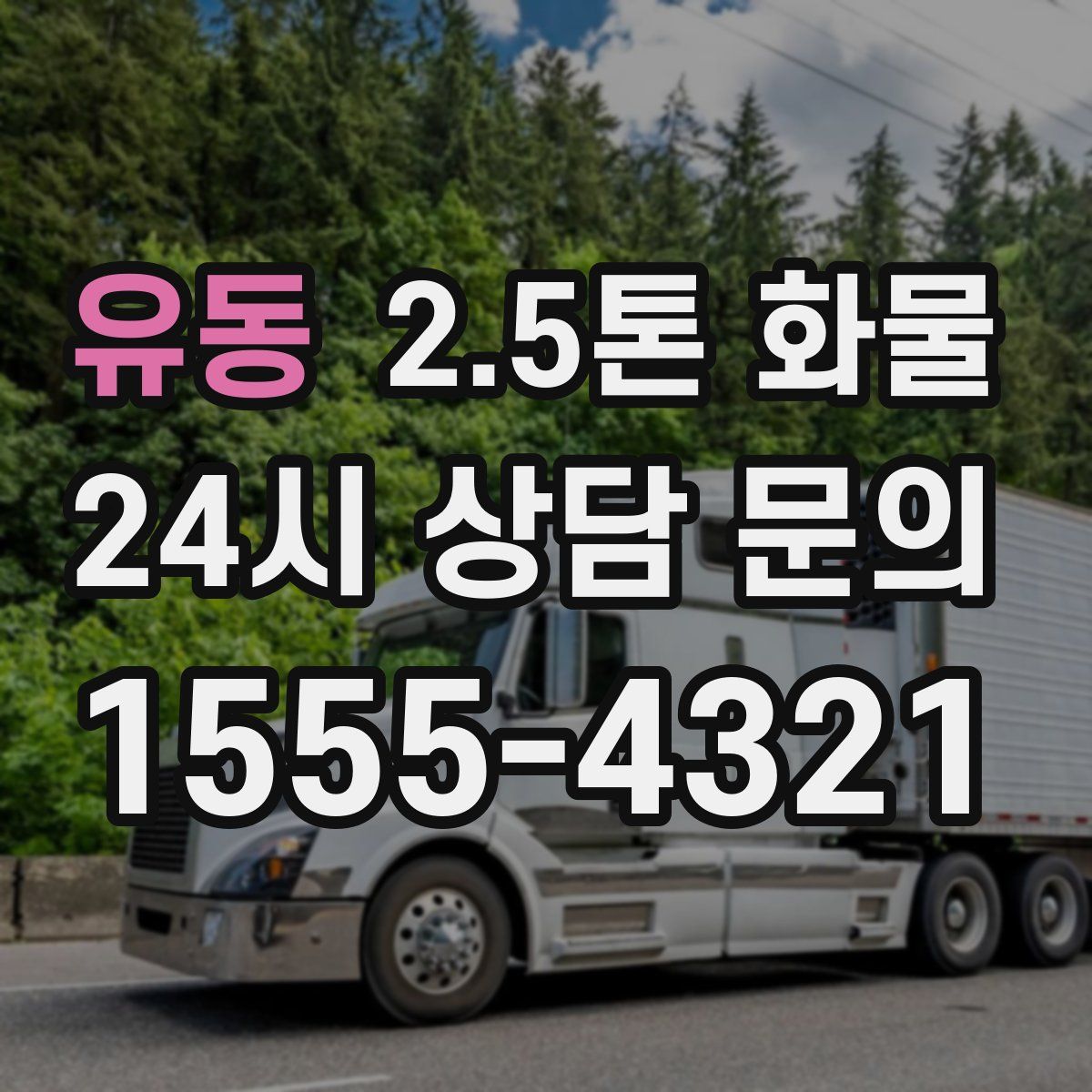 유동 2.5톤 화물