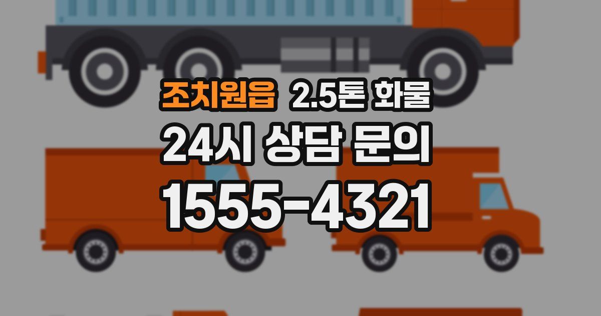 조치원읍 2.5톤 화물