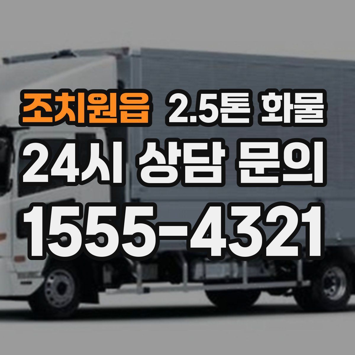 조치원읍 2.5톤 화물