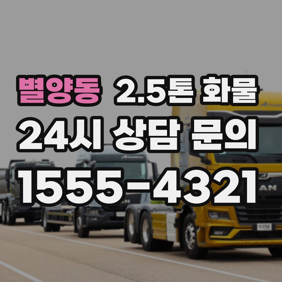 별양동 2.5톤 화물