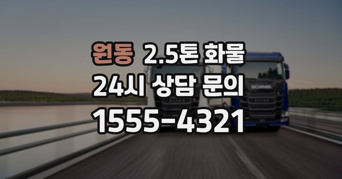 원동 2.5톤 화물