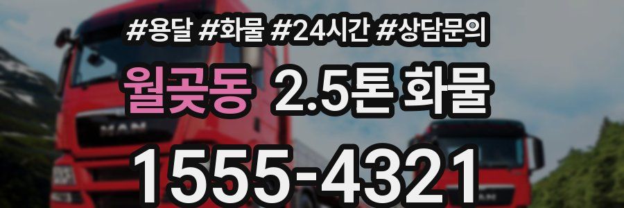 월곶동 2.5톤 화물