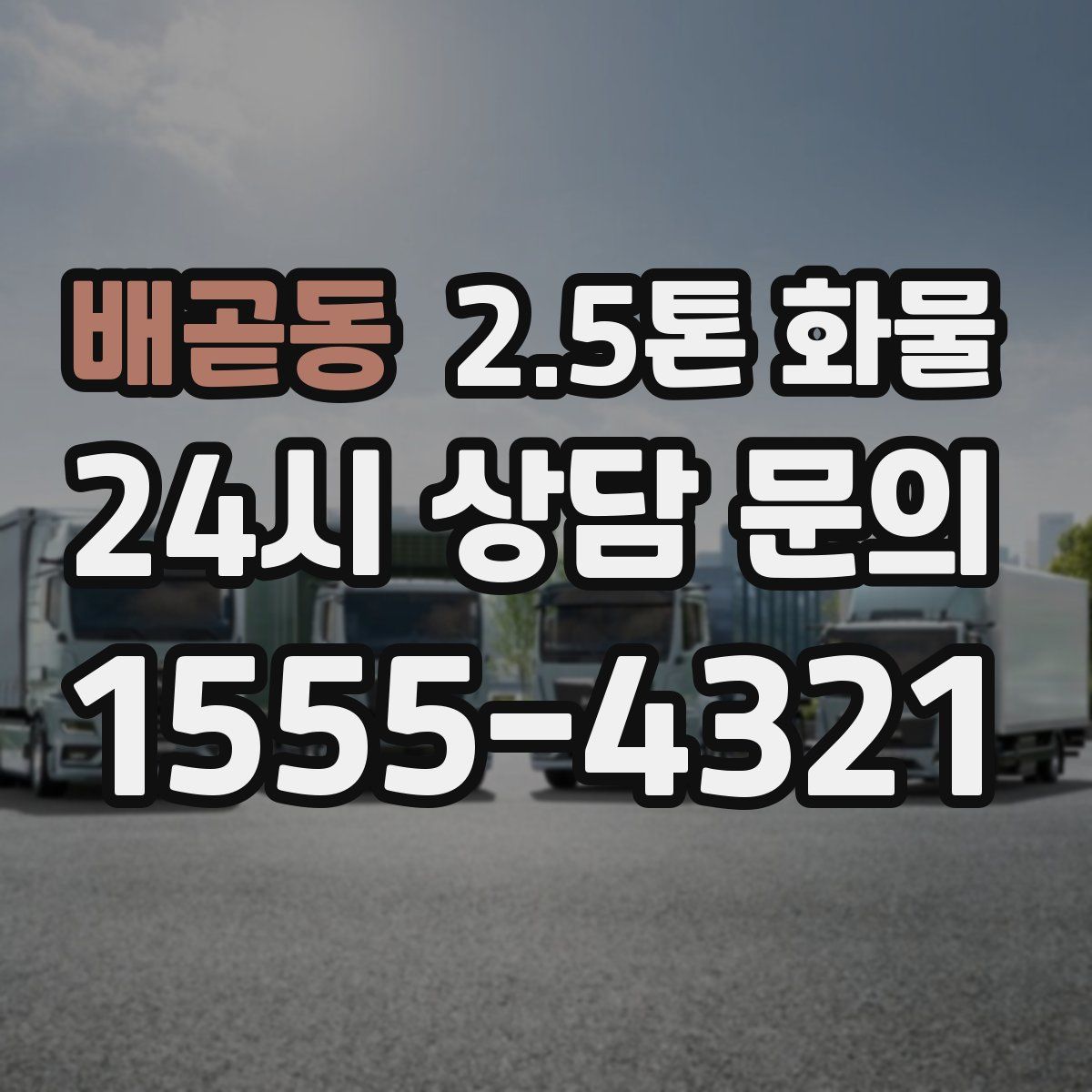 배곧동 2.5톤 화물