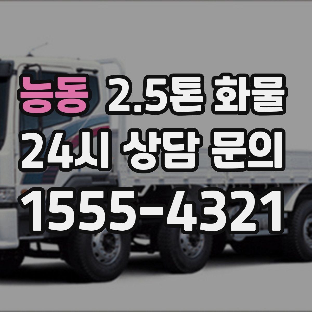 능동 2.5톤 화물