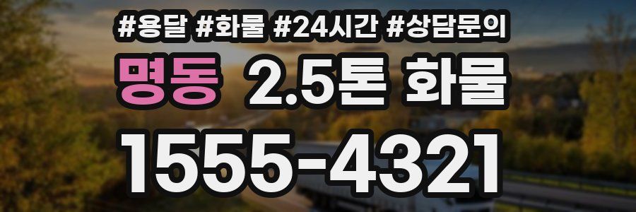 명동 2.5톤 화물