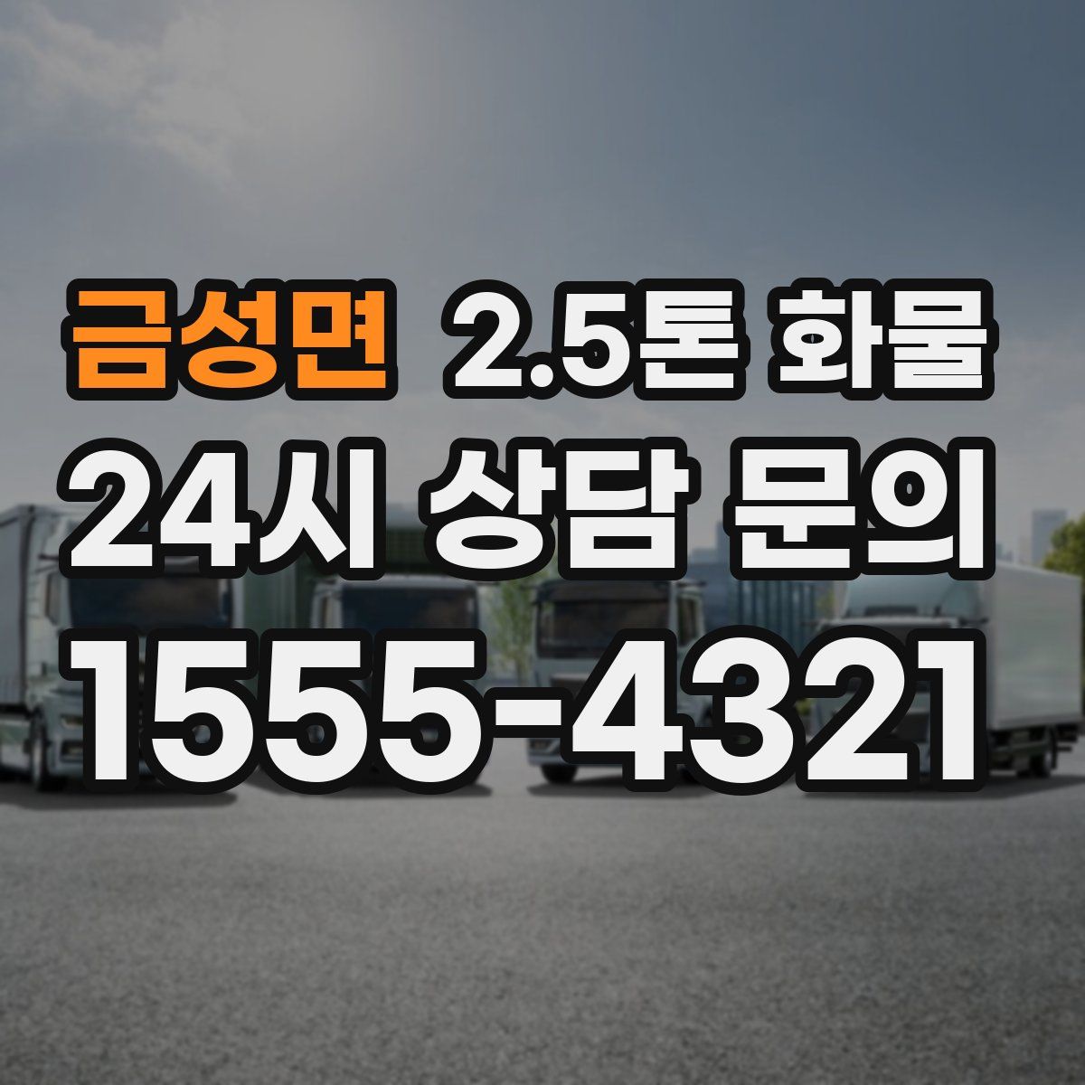 금성면 2.5톤 화물
