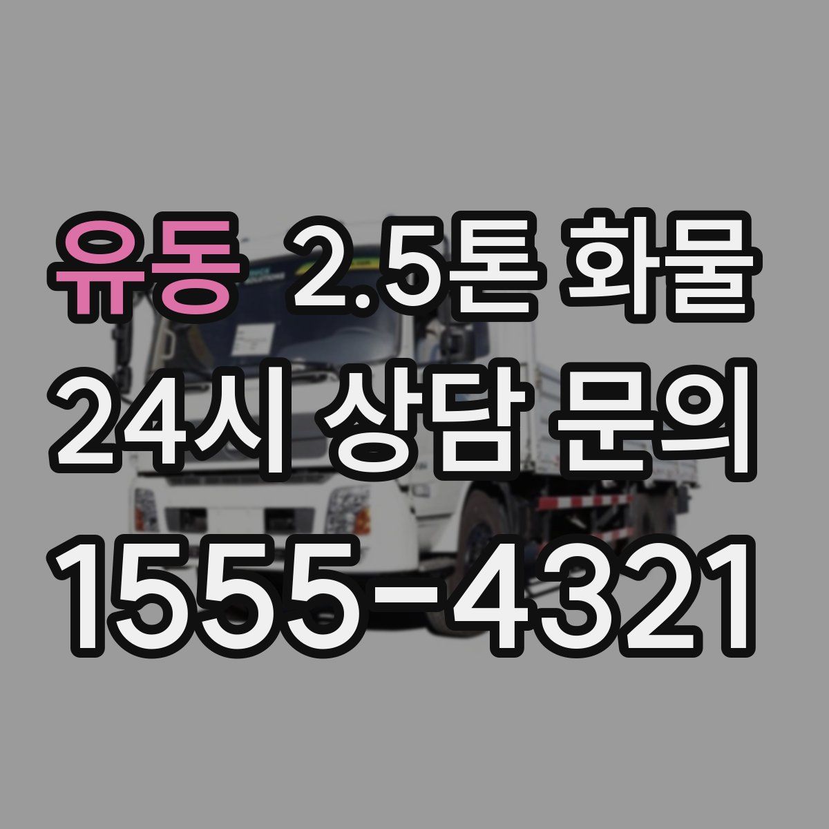유동 2.5톤 화물