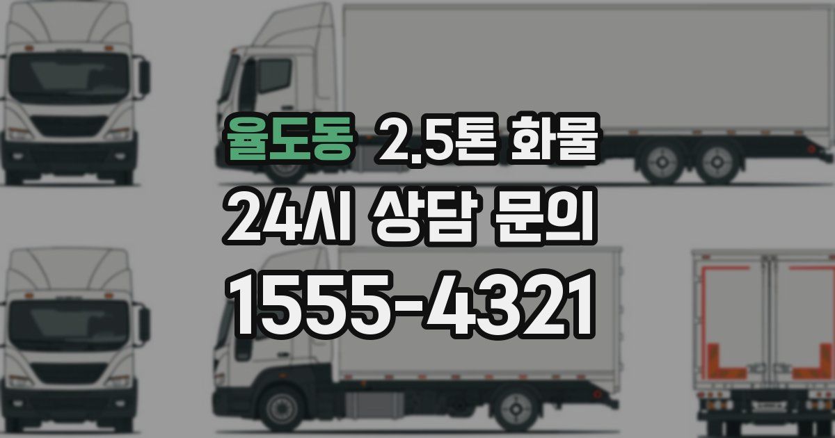 율도동 2.5톤 화물