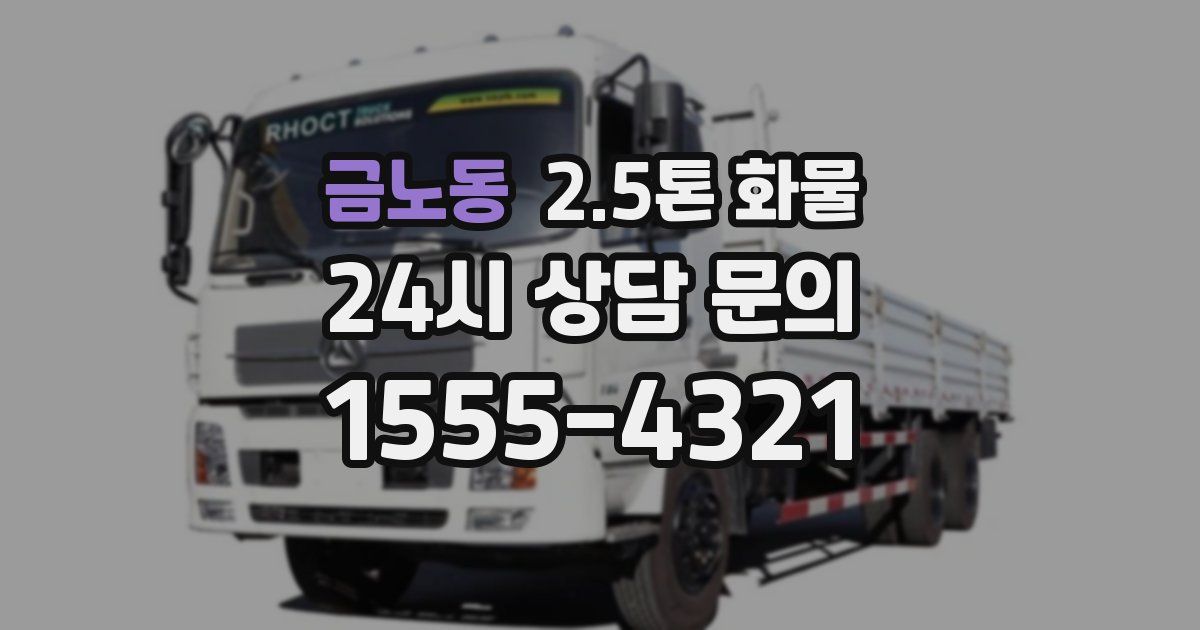 금노동 2.5톤 화물
