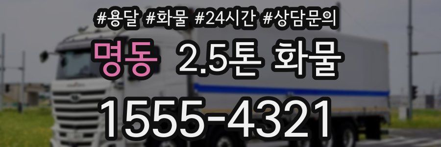 명동 2.5톤 화물