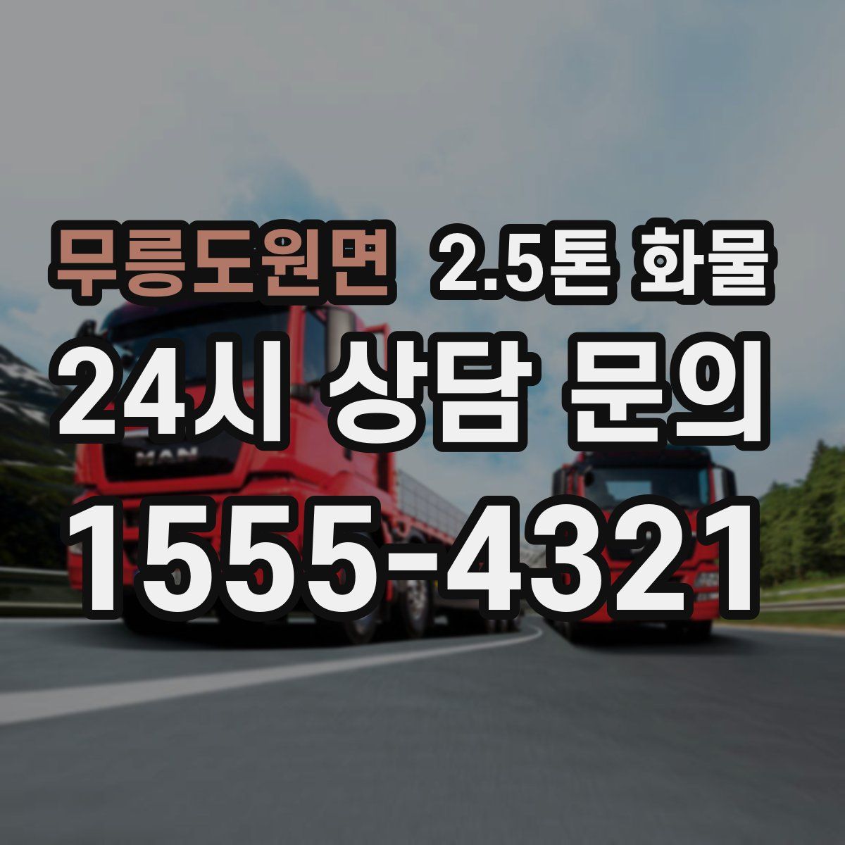 무릉도원면 2.5톤 화물