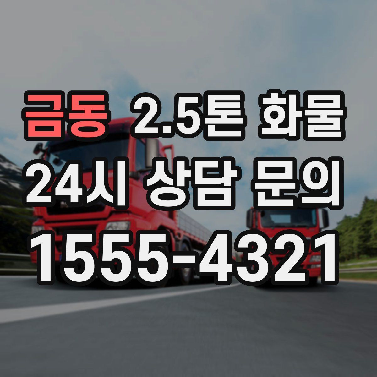 금동 2.5톤 화물
