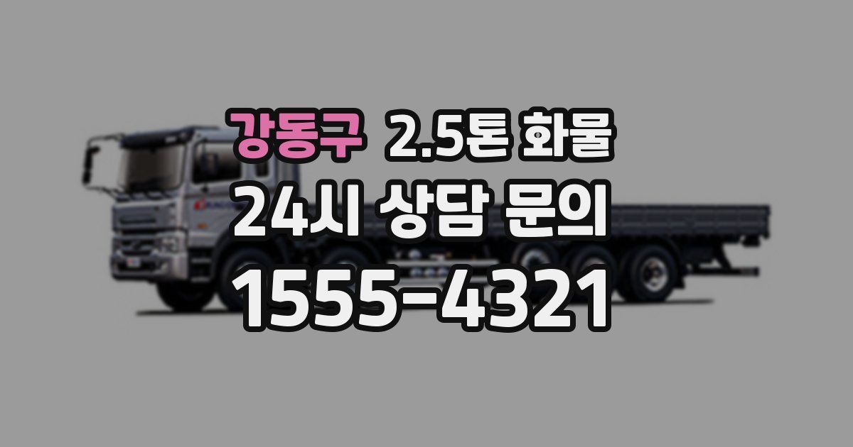 강동구 2.5톤 화물