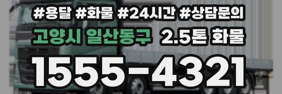 고양시 일산동구 2.5톤 화물