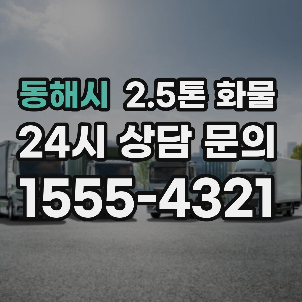 동해시 2.5톤 화물