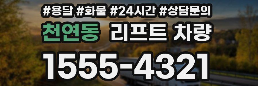 천연동 리프트 차량
