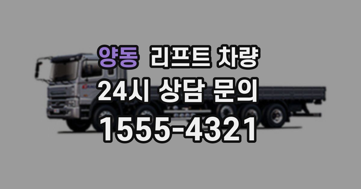 양동 리프트 차량
