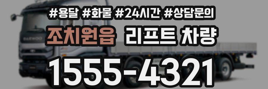 조치원읍 리프트 차량