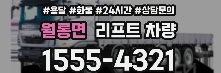 월롱면 리프트 차량