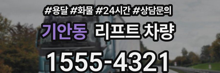 기안동 리프트 차량