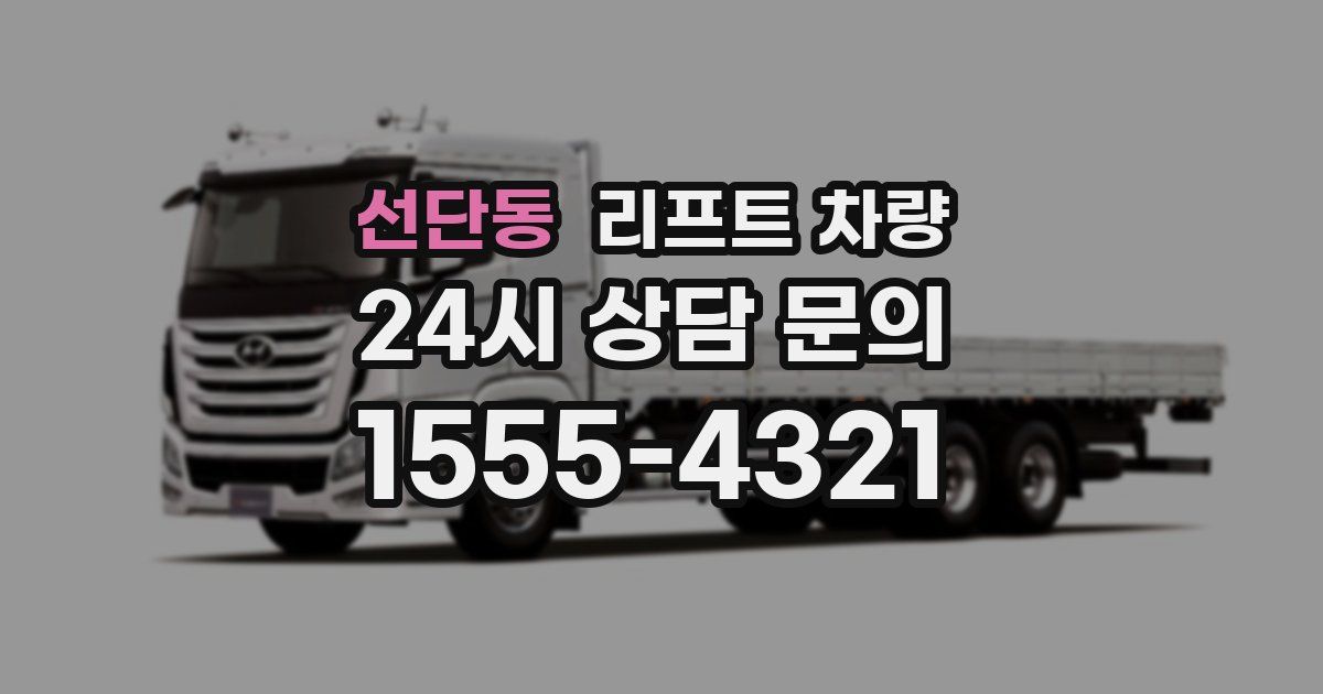 선단동 리프트 차량