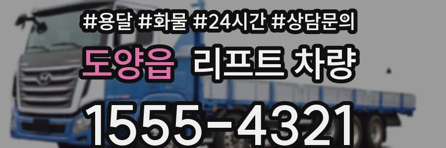 도양읍 리프트 차량