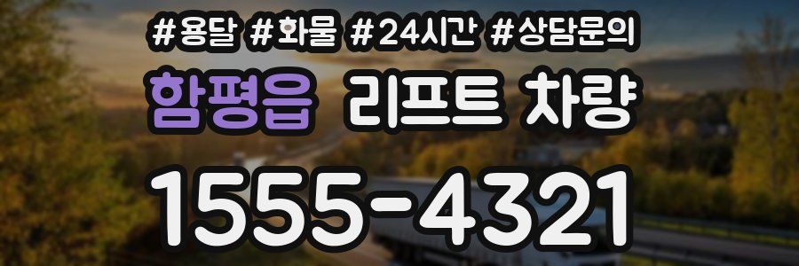 함평읍 리프트 차량