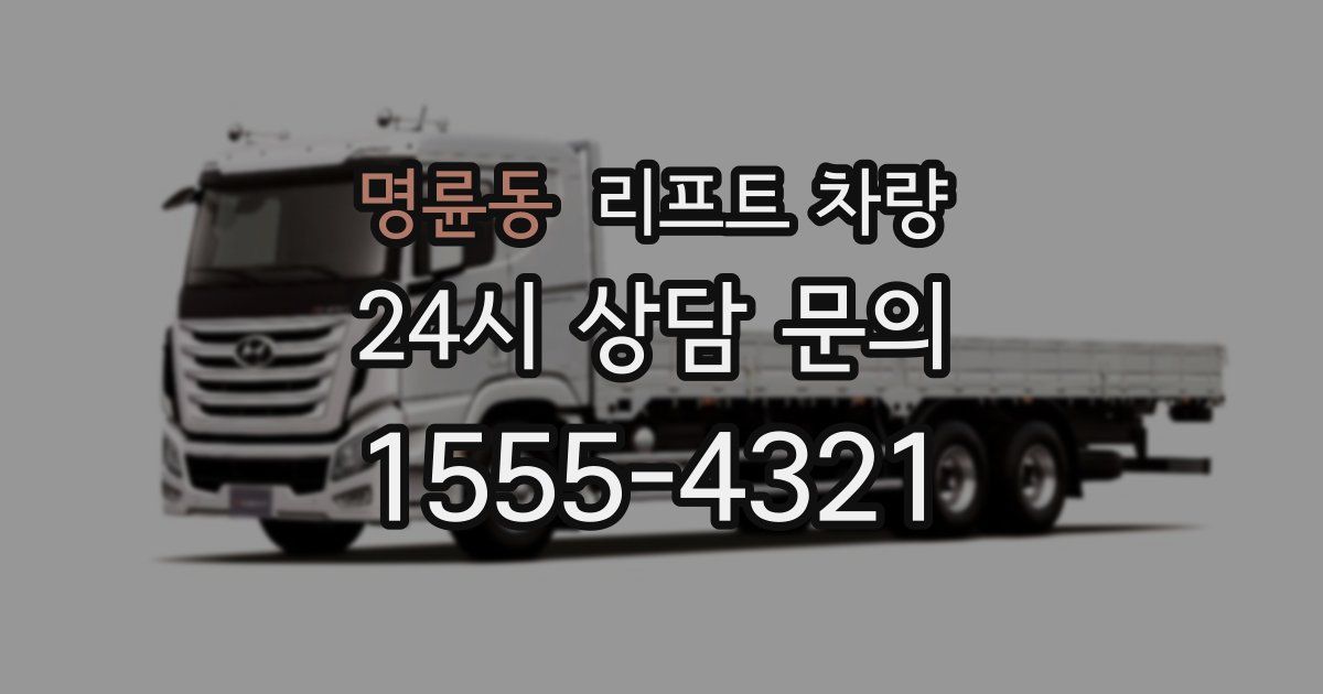 명륜동 리프트 차량