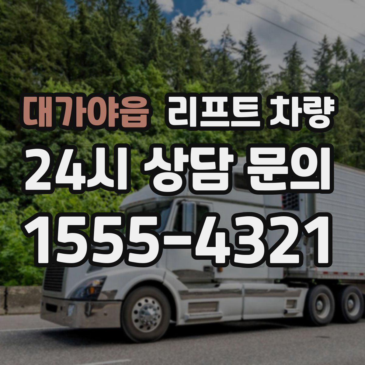 대가야읍 리프트 차량