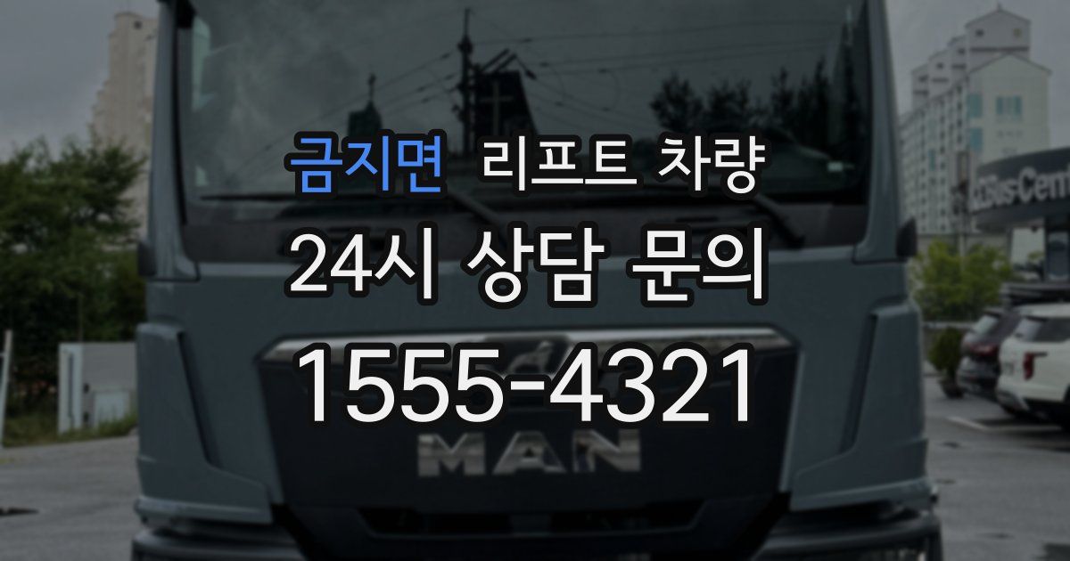금지면 리프트 차량