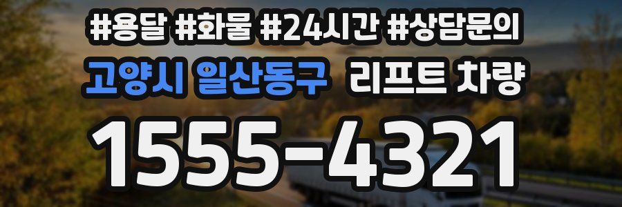 고양시 일산동구 리프트 차량