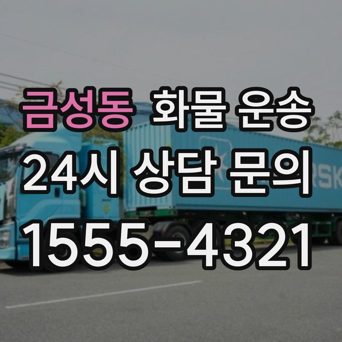 금성동 화물 운송