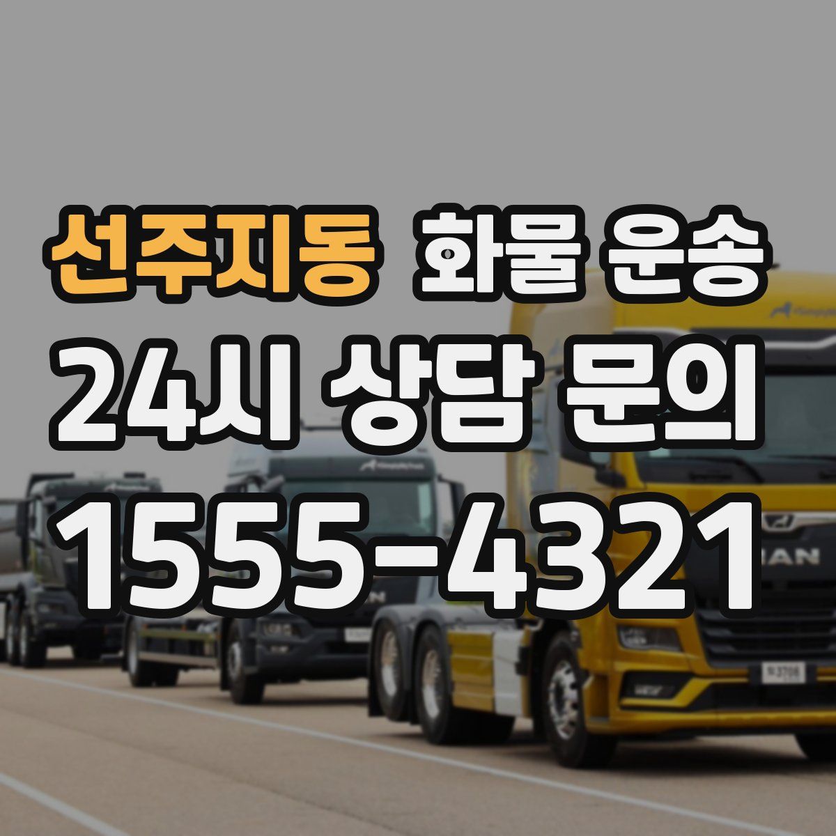 선주지동 화물 운송