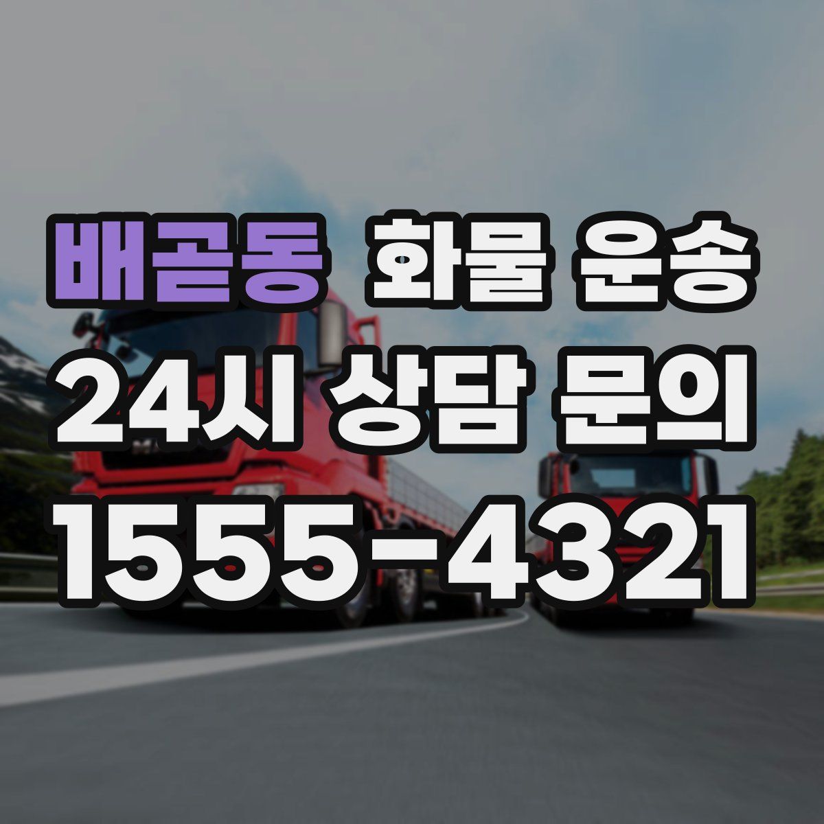 배곧동 화물 운송