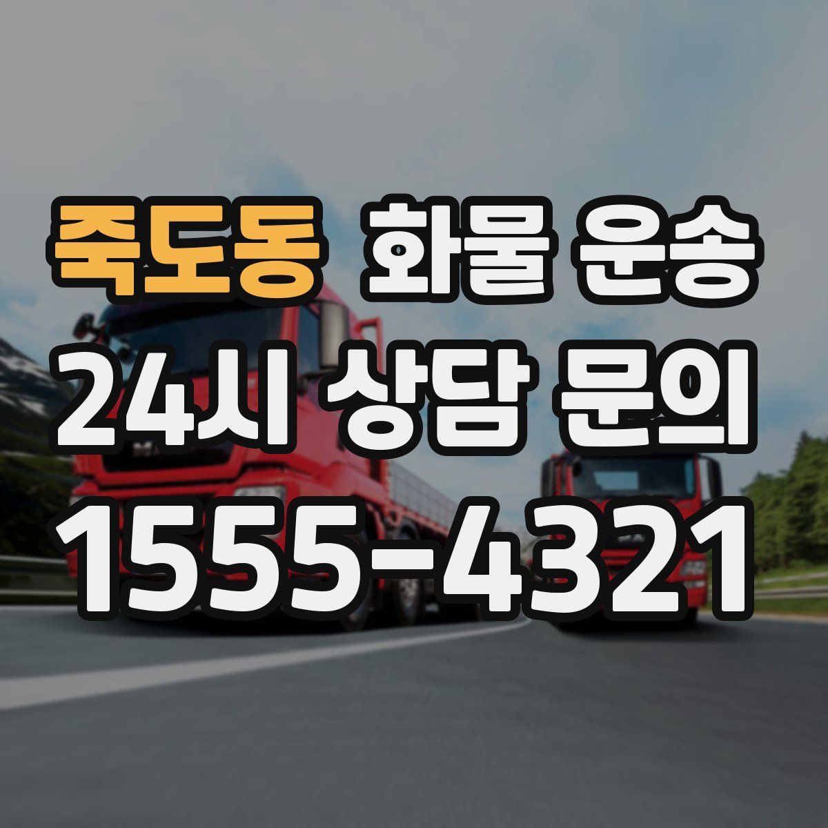 죽도동 화물 운송