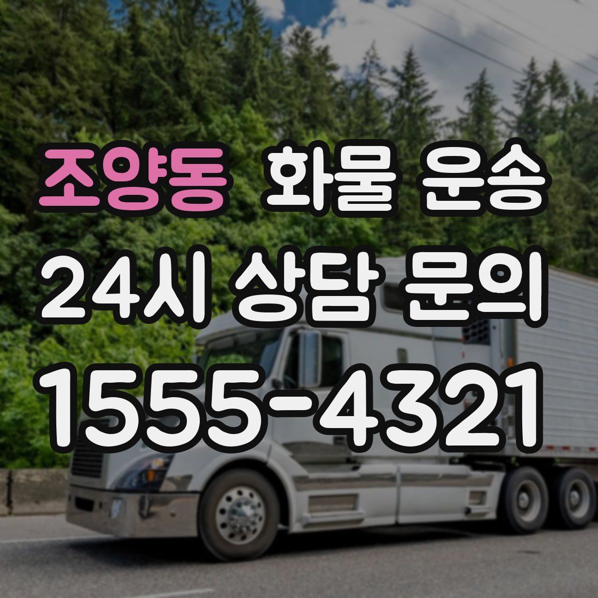 조양동 화물 운송